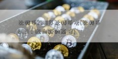 比特币2018年比特币况(比特币2021：迈向新的高峰)