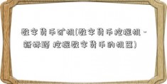 数字货币矿机(数字货币挖掘机 - 新标题 挖掘数字货币的机器)